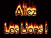 allez les lions.